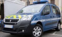 Peugeot Partner 2016  "Gendarmerie" Blauw , gele stripping