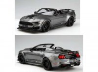 Shelby Super Snake Speedster, 2021 ,  gris