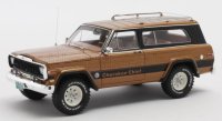 JEEP - CHEROKEE CHIEF SJ 4X4 1980 - BRUNE MET