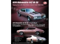 Oldsmobile 442 W-30, regency rose with black stripes 1970