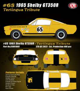 Shelby GT350R #65 Terlingua Tribute, 1965