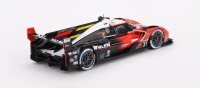 CADILLAC V-SERIES.R N°31 ACTION EXPRESS RACING WINNER IMSA 12H SEBRING 2023