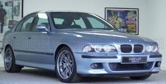 BMW - 5-SERIES M5 5.0L V8 32V (E39) 2003 - LICHT B